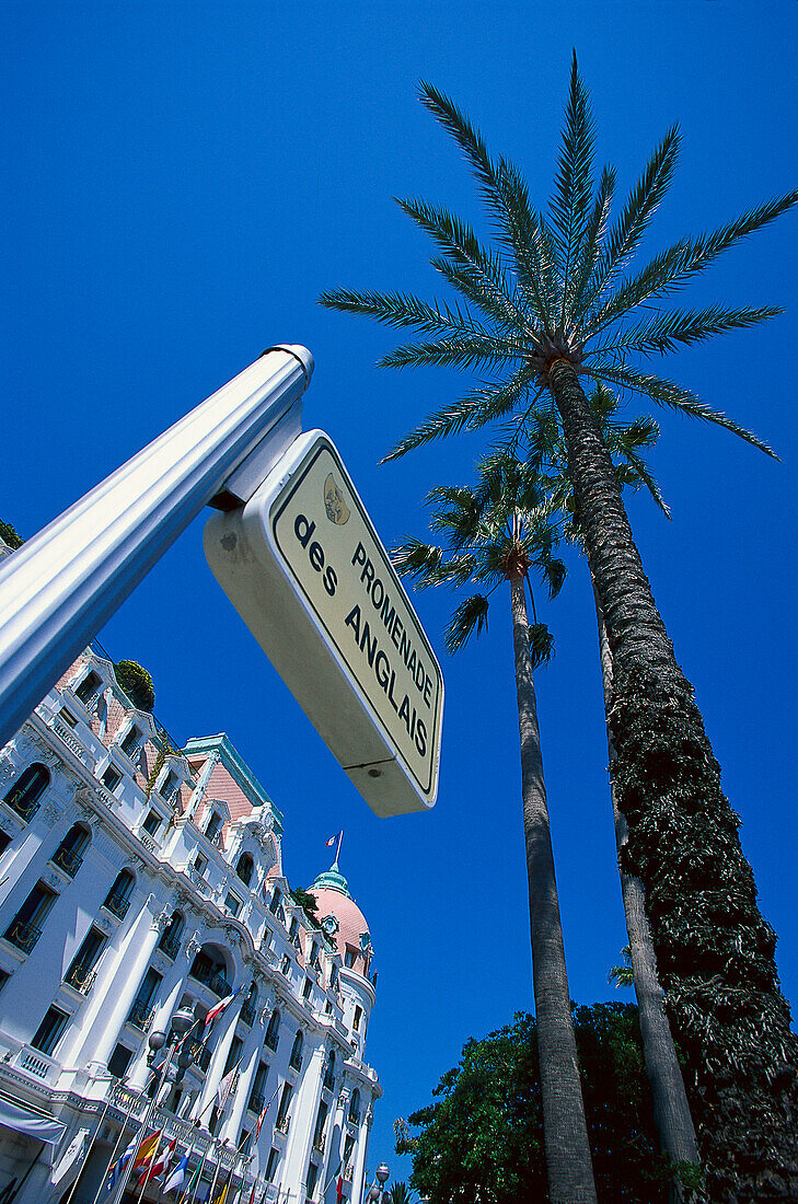 Palm tree and Hotel Negresco under blue sky, Promenade des Anglais, Nice, France, Europe
