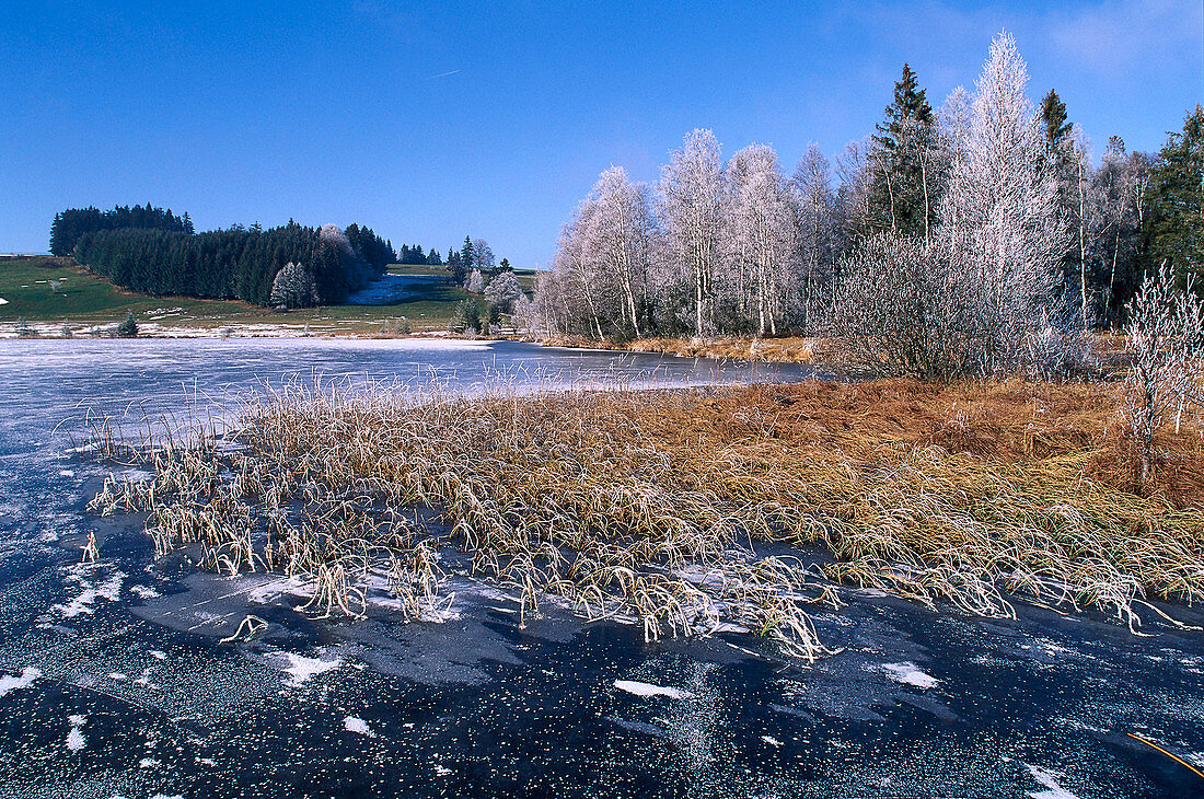 Frozen lake, Upper Bavaria, Germany