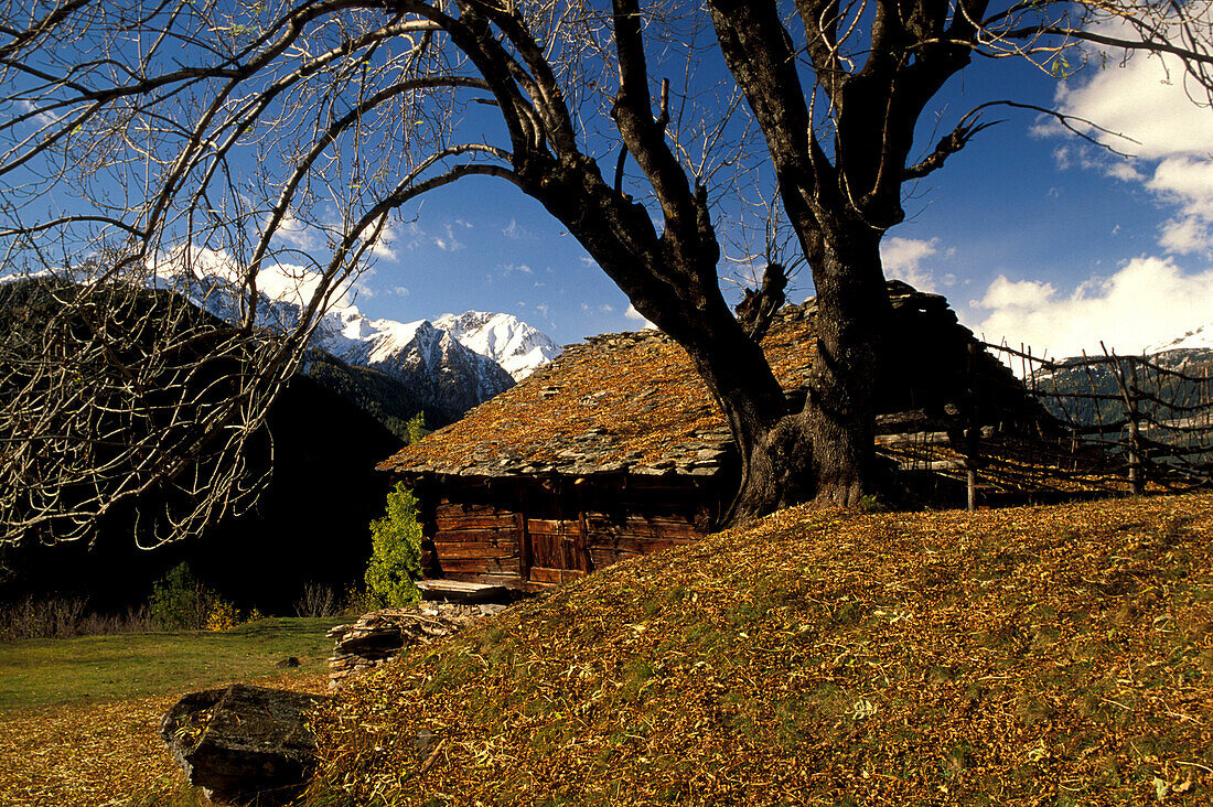 Tengia, Strada Alta, Valle Leventina Ticino, Switzerland