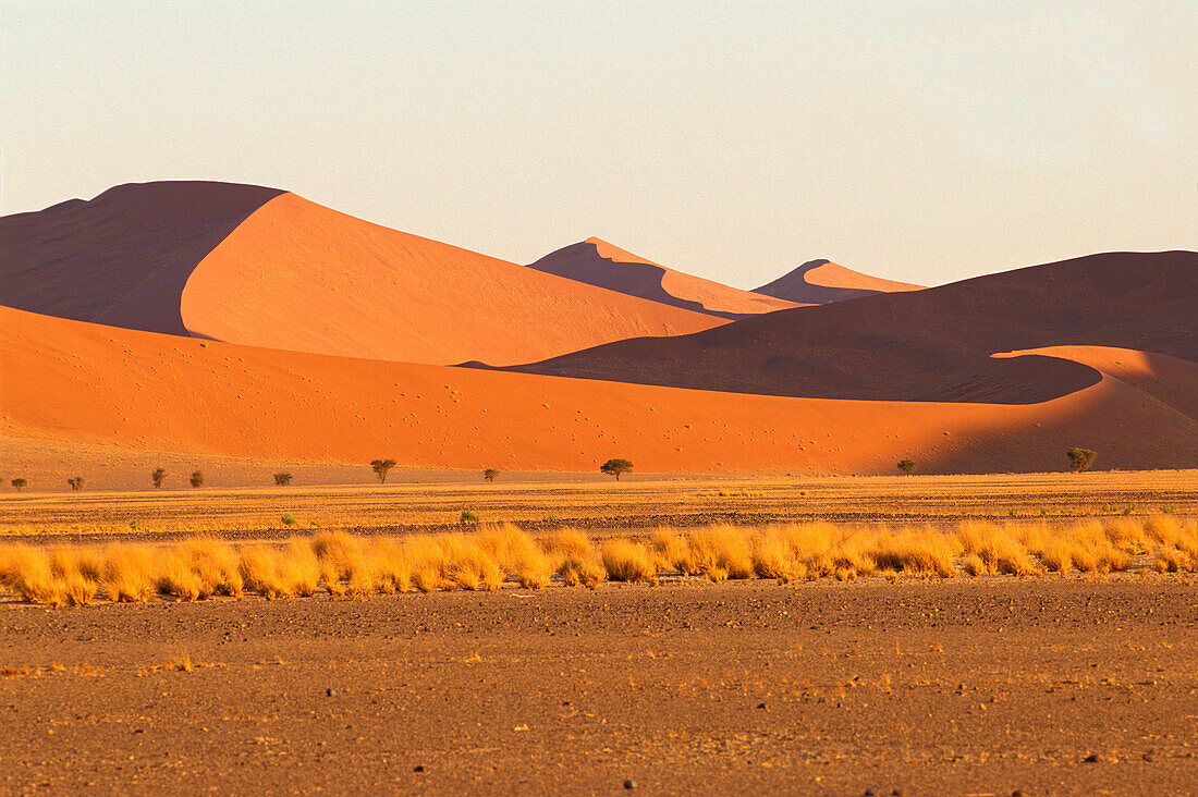 Sand dunes in the evening light, Sossusvlei, Namibia, Africa