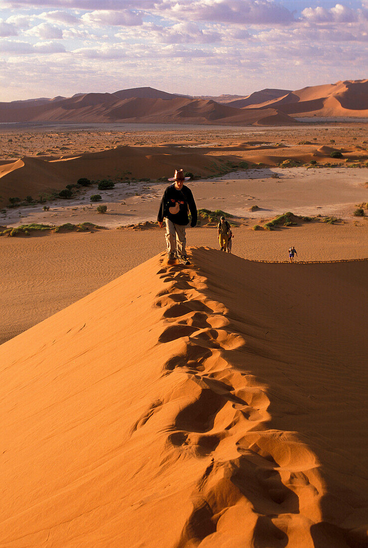 Desert of Namibia, Sossusvlei, Namibia, Africa