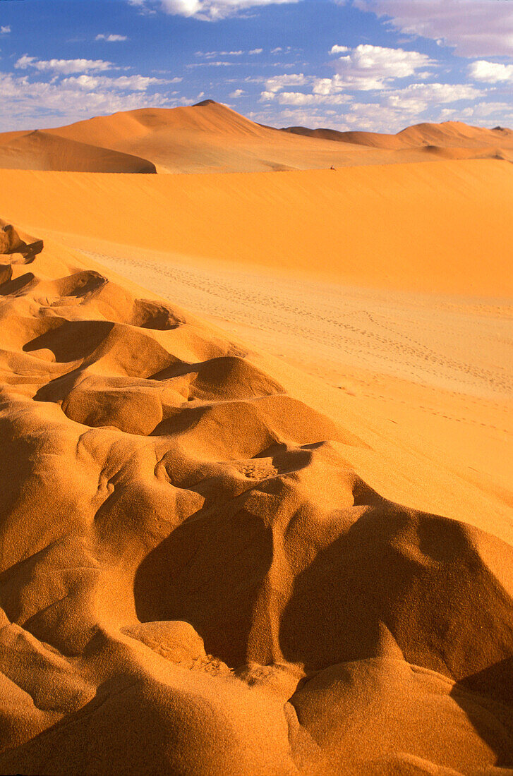 Namib desert and sanddunes, Sossusvlei, Namibia, Africa