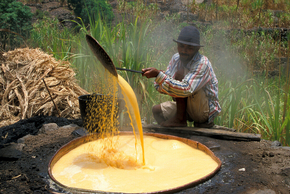Distil liquor of sugar cane, Paul, Santo Antao, Cape Verde Islands, Africa