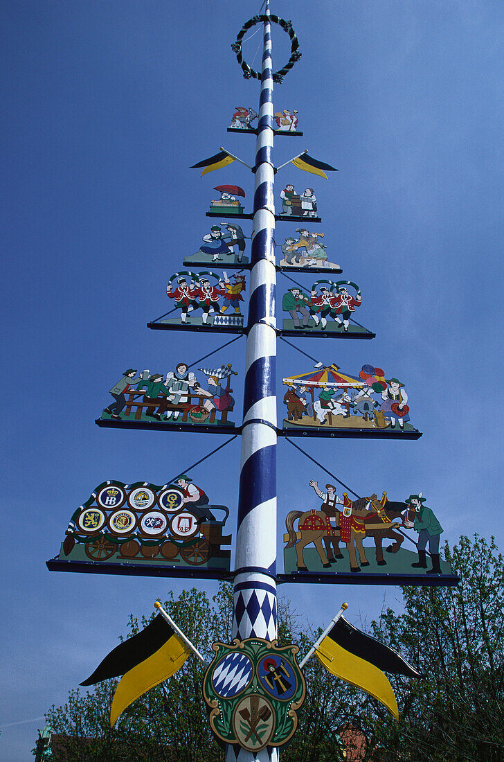 Decorative Maypole, Tradition, Upper Bavaaria, Bavaria, Germany