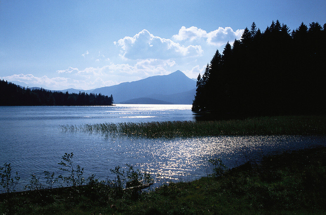 View across lake Walchensee, Upper Bavaria, Bavaria, Germany