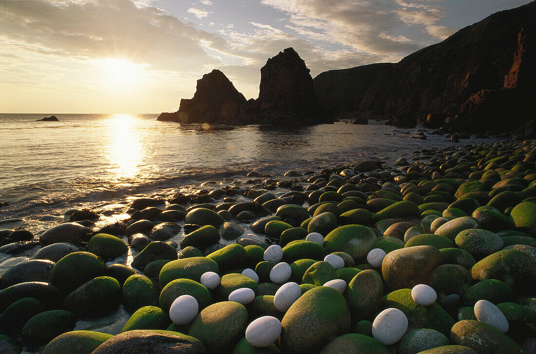Pebbly beach at sunset, Bloody Foreland Head, County Donegal, Ireland, Europe