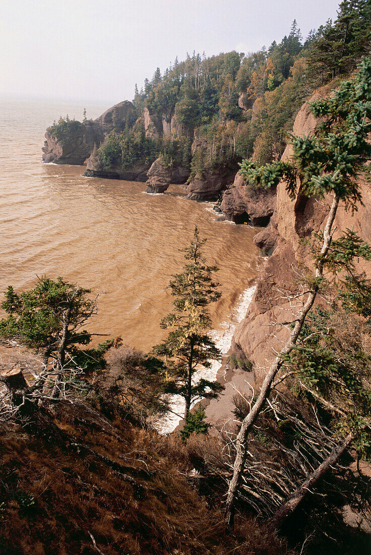 View at lonesome Bay of Fundy at Cape Hopewell, Province New Brunswick, Canada