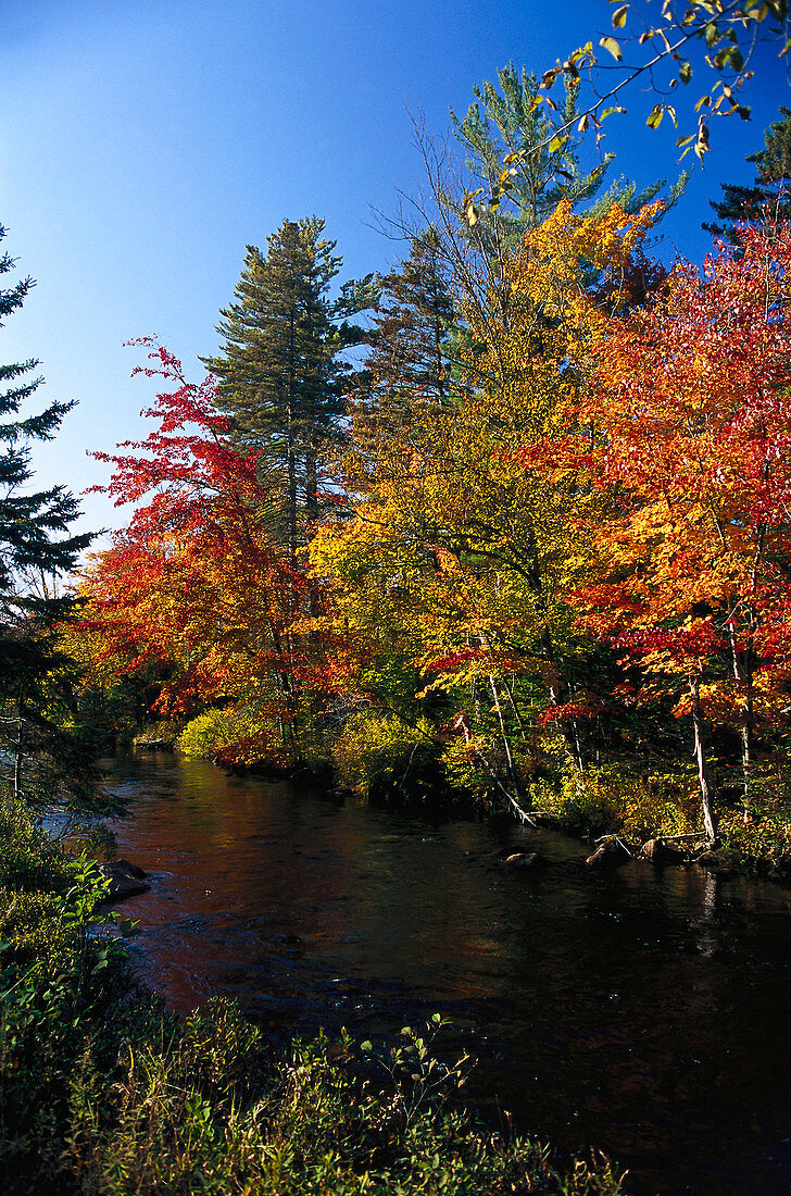 River at fall, P. Quebec Canada