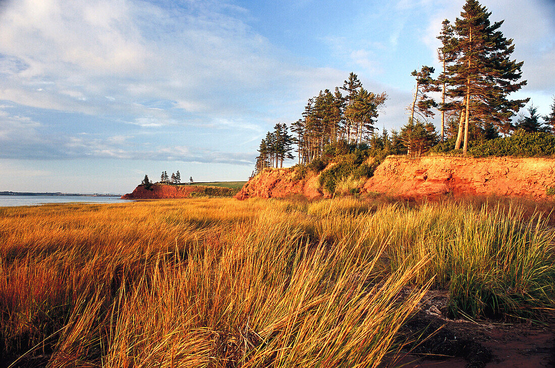 Landscape, Prov. Prince Edward Island Canada