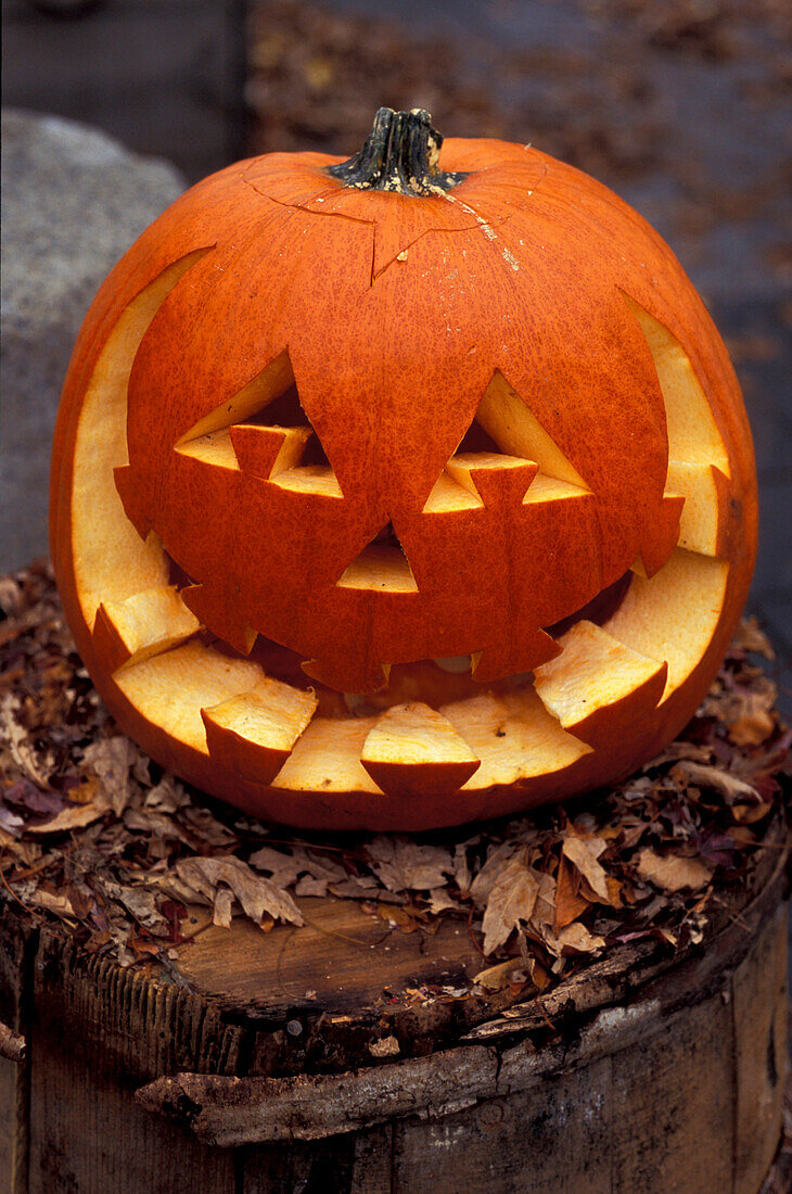 Jack O'Lantern, Pumpkin, Halloween, Quebec, Canada