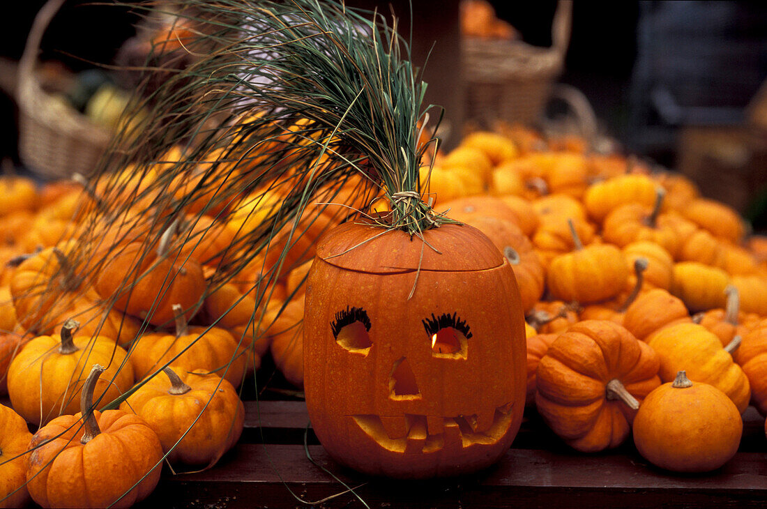 Jack O'Lantern, Pumpkin, Halloween, Quebec, Canada