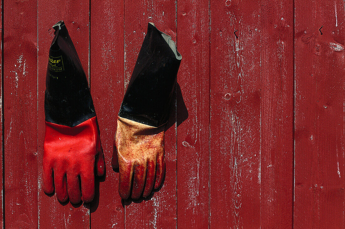 Handschuhe eines Fischers, Norwegen