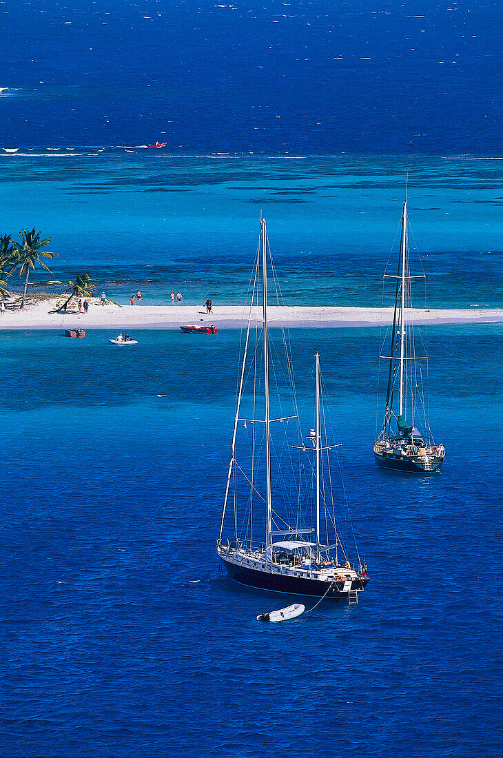 Segler am Horseshoe Reef, unbewohnte Insel, Tobago Cays St. Vincent & The Grenadines