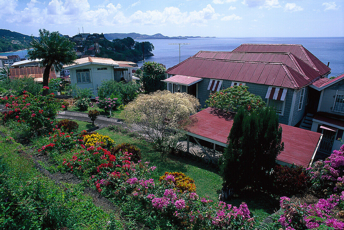 Wohnhäuser, St. George' s Grenada