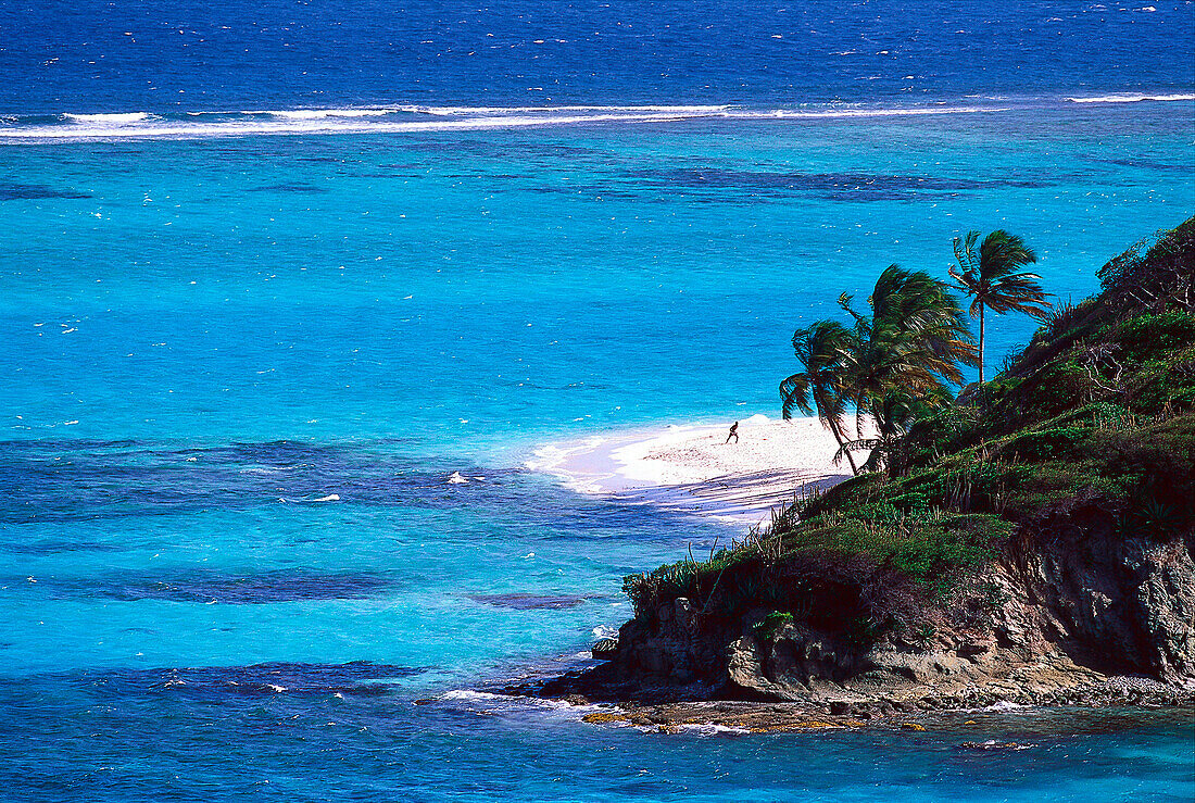 Strand, unbewohnte Insel, Tobago Cays St. Vincent, Grenadinen