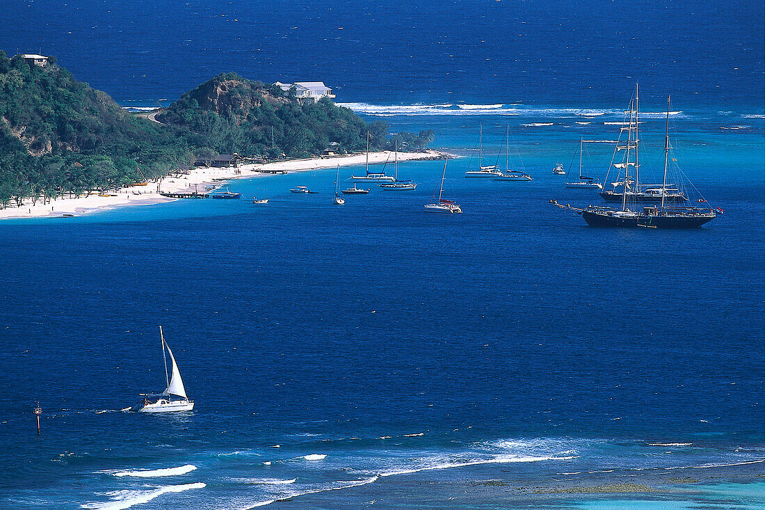 Segler, Palm Island, St. Vincent, Grenadinen