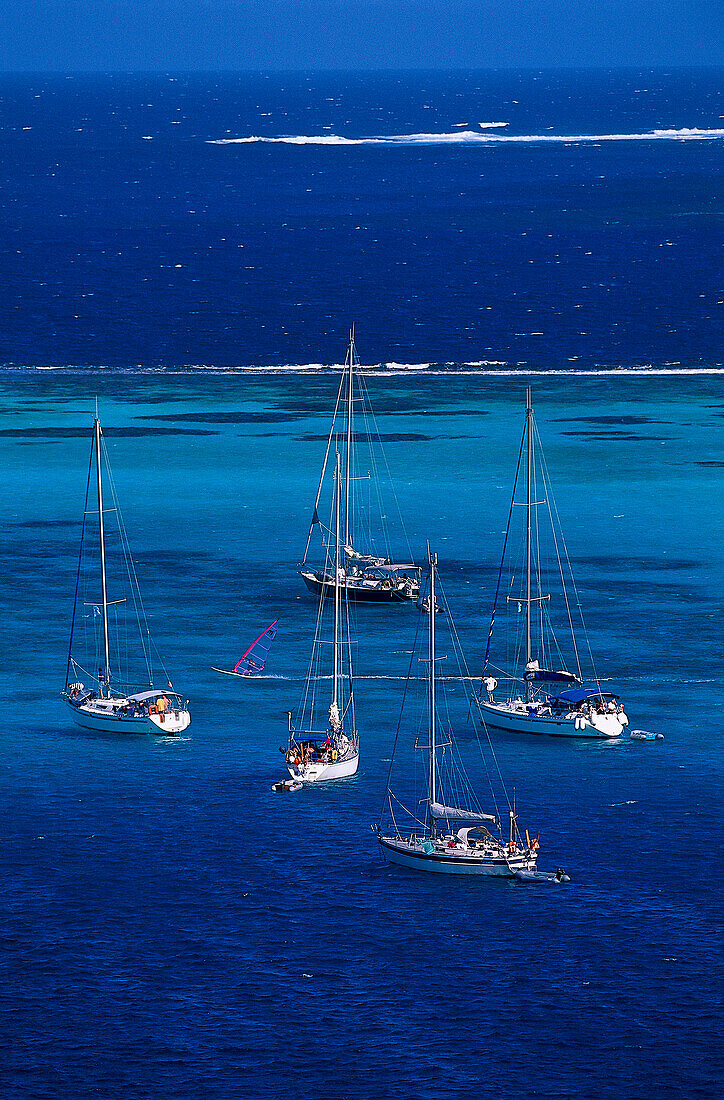 Segler am Horseshoe Reef, Tobago Cays St. Vincent, Grenadinen