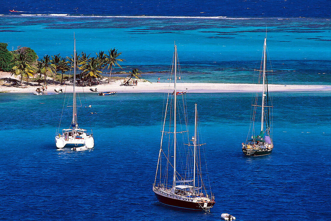 Segler am Horseshoe Reef, Tobago Cays St. Vincent, Grenadinen