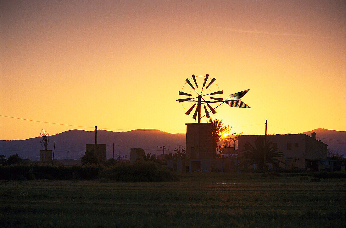 Windmühlen an Finca, bei San Jordi, Mallorca Balearen, Spanien