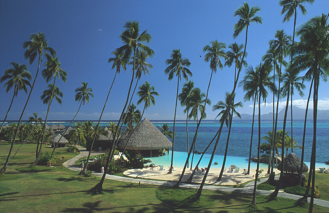 Poolbar hinten-Moorea, , Beachcomber Hotel, Tahiti Franz. Polynesien, Südpazifik