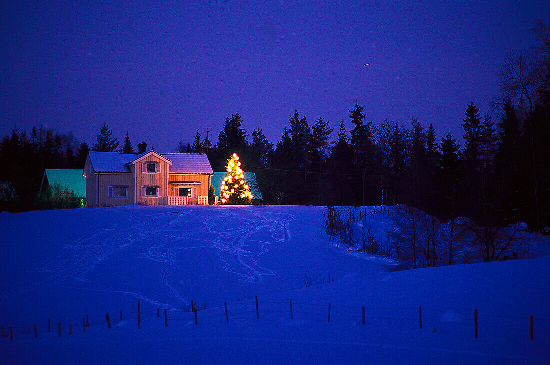 Wohnhaus mit erleuchtetem Weihnachtsbaum in einer Winterlandschaft am Abend, Väster Götland, Schweden, Europa