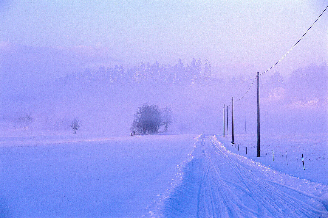 Verschneite Strasse im Morgennebel, Västergötland, Schweden, Europa
