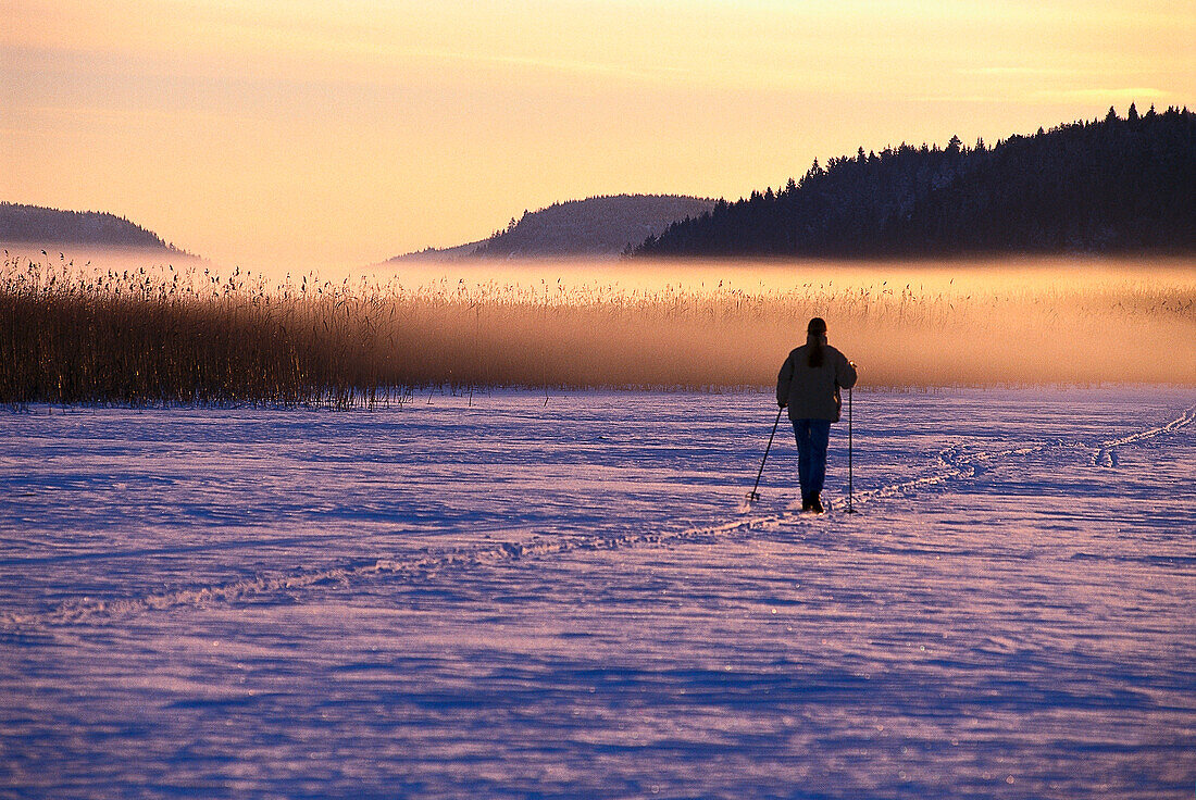 Cross country skiing on snow, descending fog, Vastergotland, Sweden