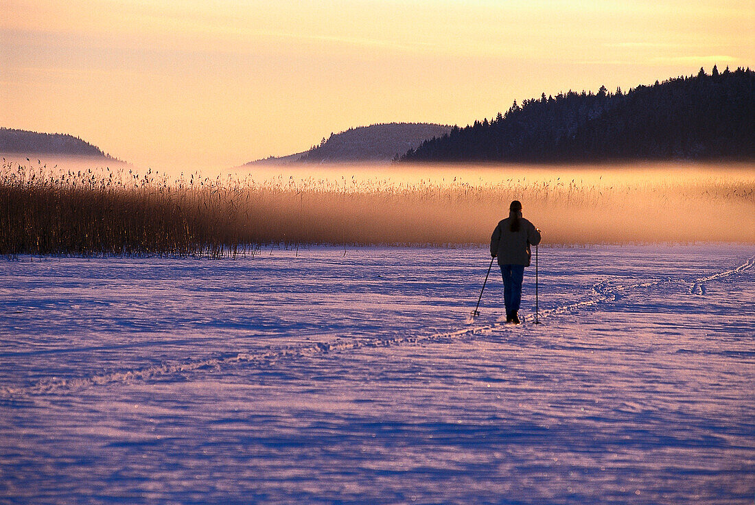 Skilangläufer im Nebel, Väster Götland, Schweden