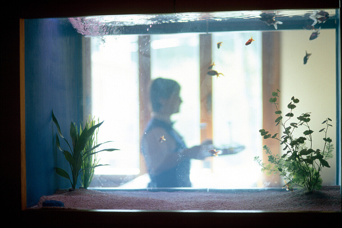View through an aquarium at a waitress, Restaurant Cavall Bernat, Hotel Cala Sant Vicenc, Majorca, Spain