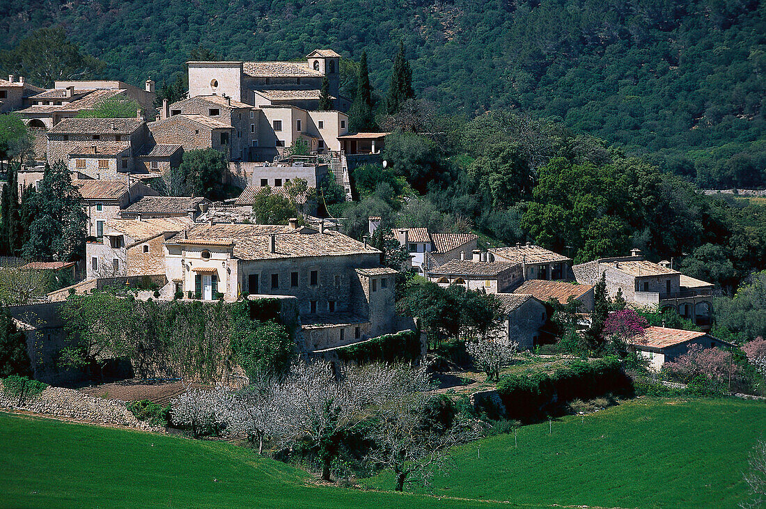 Das Dorf Orient in idyllischer Landschaft, Tramuntana, Mallorca, Spanien, Europa