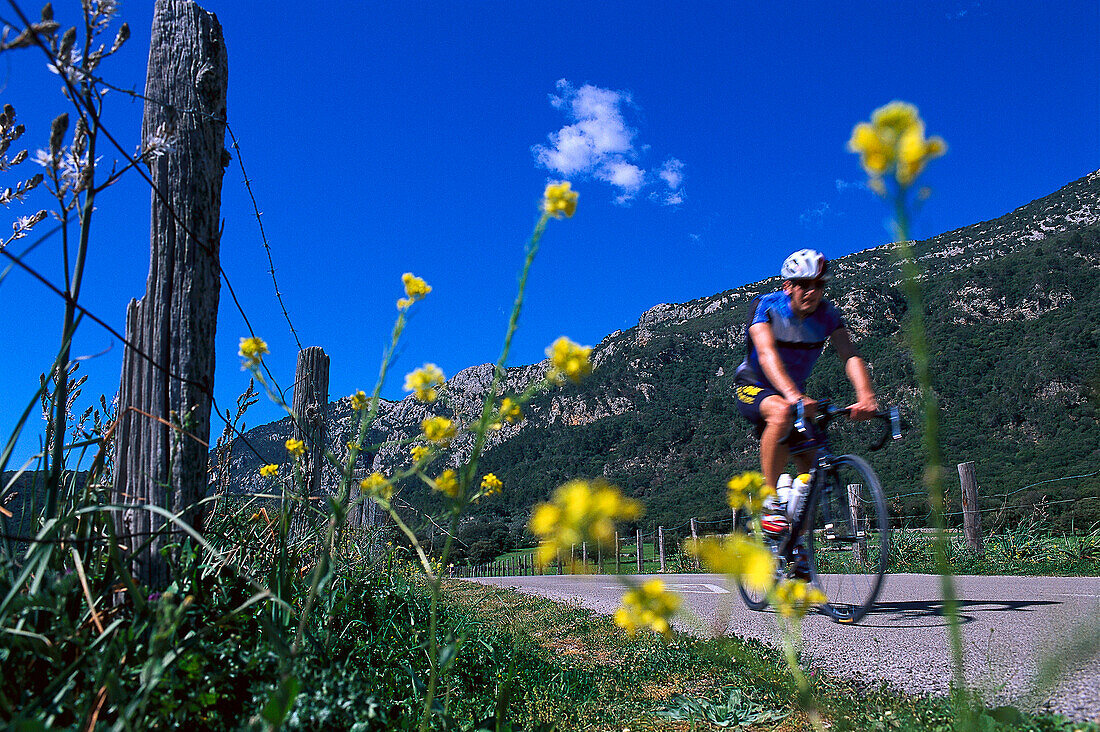 Radfahrer auf einsamer Landstrasse unter blauem Himmel, Tramuntana, Mallorca, Spanien, Europa