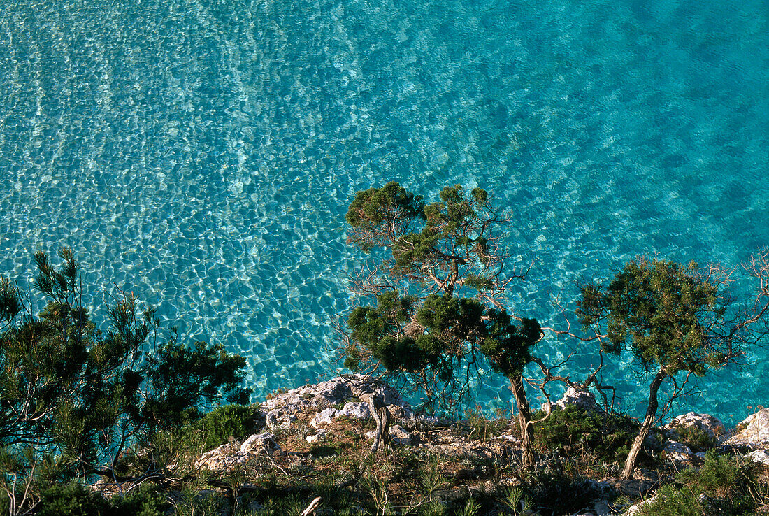 High angle view at steep coast and ocean in the sunlight, Cala S'Amonia, Santanyi, East coast, Majorca, Spain