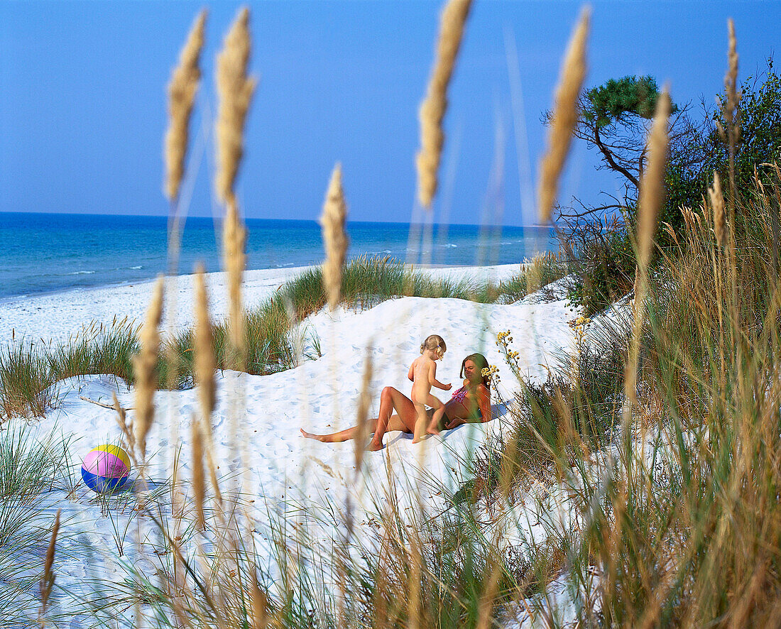 Dunes , Dueodde, South Coast, Bornholm Denmark