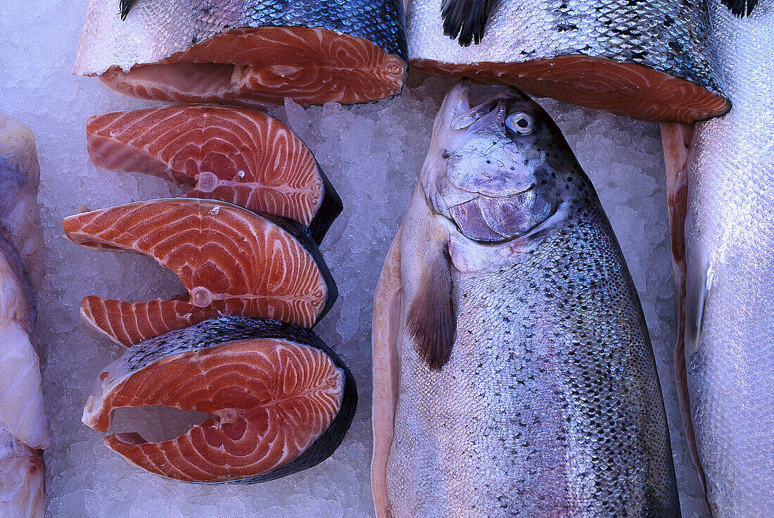 Salmon, Fish market, Bergen, Hordaland Norway