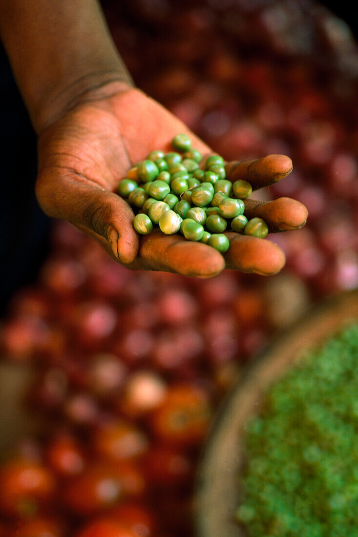 Hand mit Erbsen, Sansibar, Tansania, Afrika