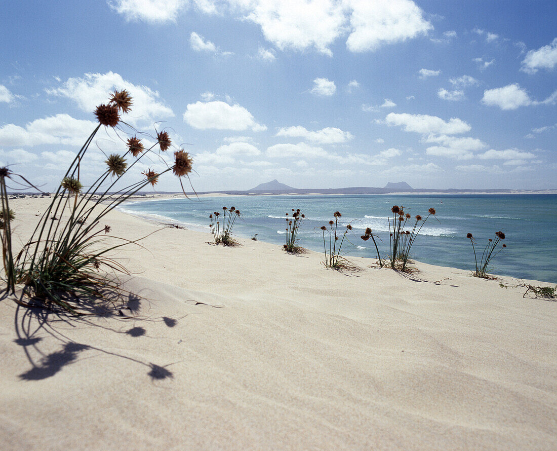 Sandy beach, Praia de Chave, Boa Vista, Cape Verde