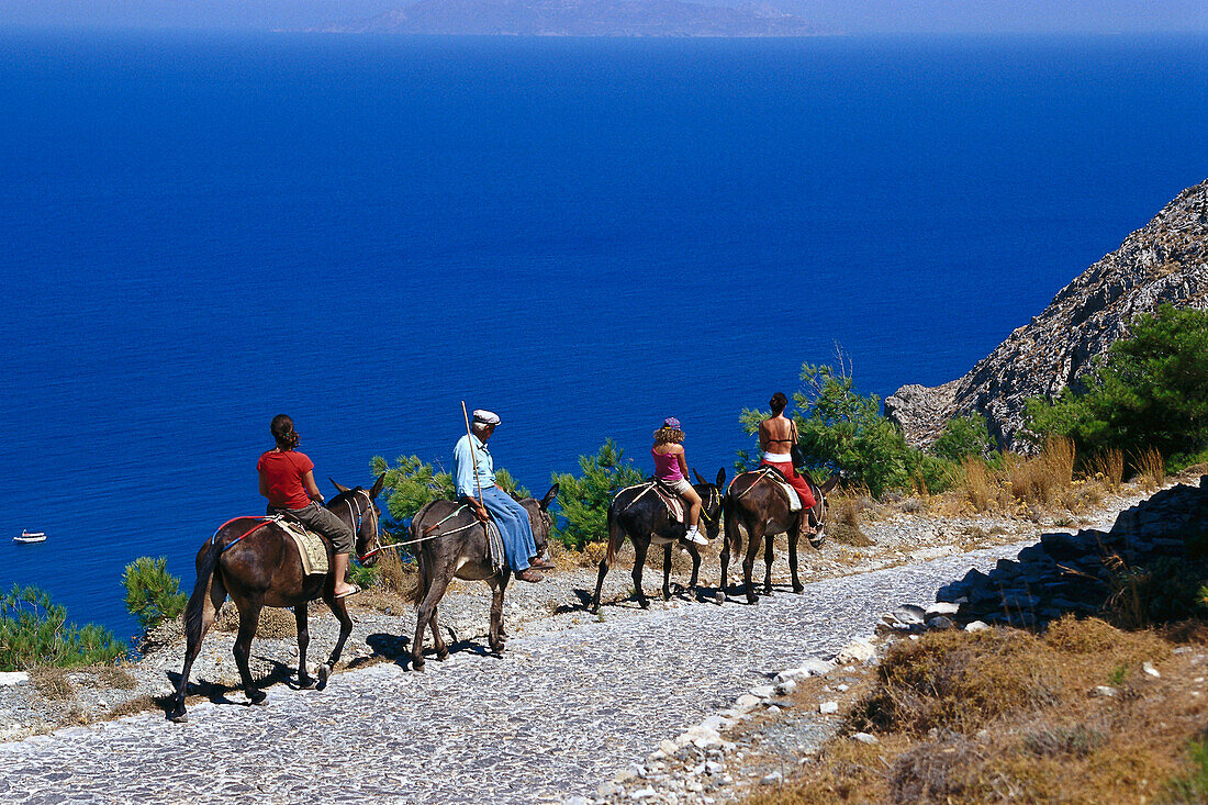 Tourists riding donkeys, Santorin, Cyclades, Greece, Europe