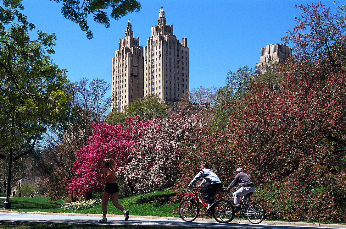 Jogger und Radfahrer im Central Park, Upper West Side, Manhattan, New York, USA, Amerika