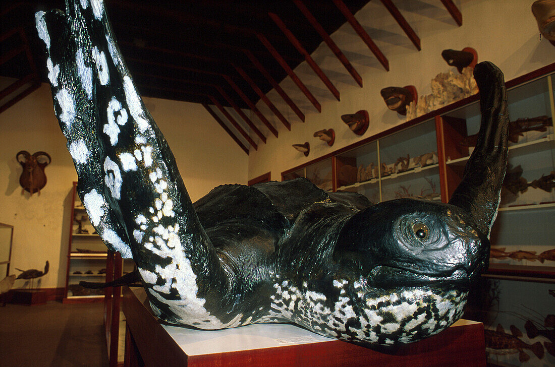 Voelkerkundemuseum, Sta. Cruz, La Palma Kanaren, Spanien