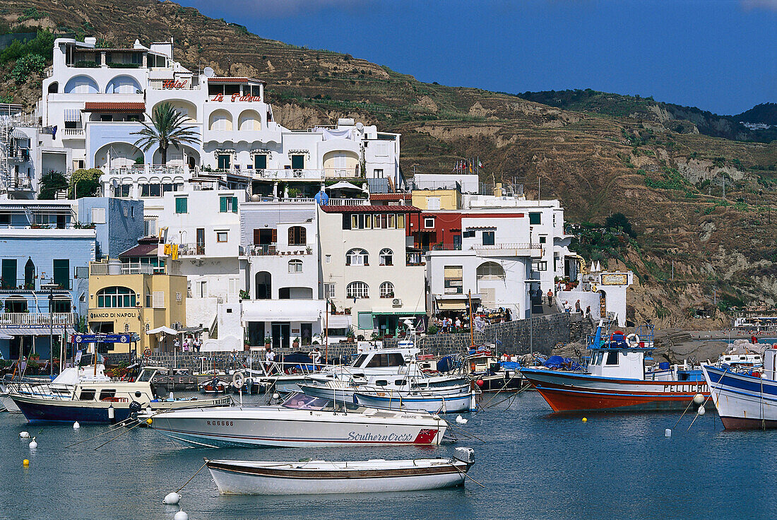 Boats at harbour in front of houses in the sunlight, Sant´ Angelo, Ischia, Campania, Italy, Europe