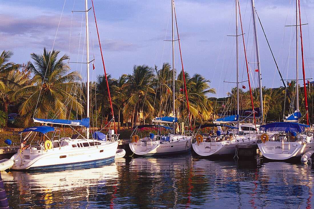 Segelboote im Hafen vor Palmen, Spanish Town, Virgin Gorda, Britische Jungferninseln, Karibik, Amerika
