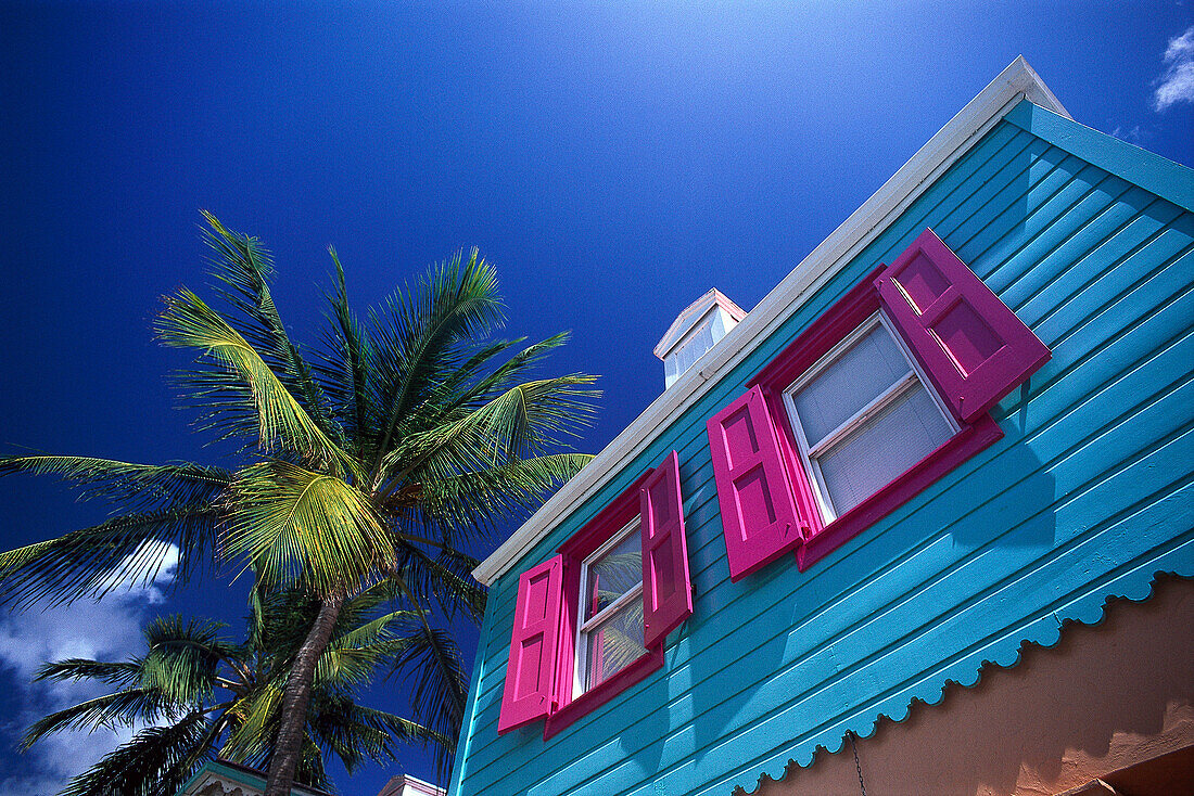 Farbenfrohes Haus und Palme unter blauem Himmel, Pusser´s Landing, West End, Tortola, Britische Jungferninseln, Karibik, Amerika
