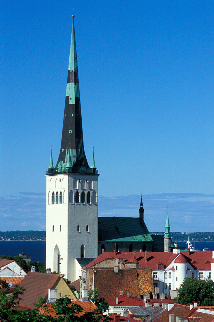 Olai church and rooftops in the sunlight, Tallinn, Estonia, Europe