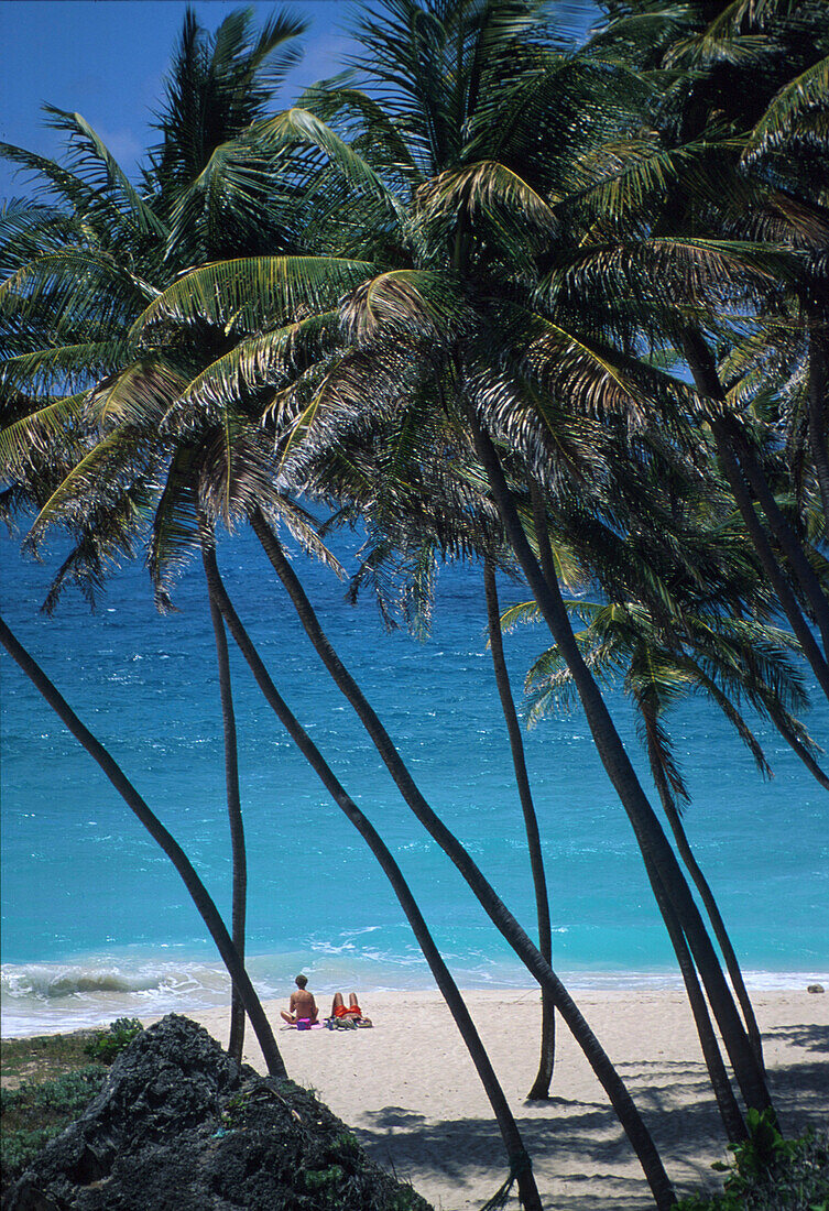 Bottom Bay, Strand, Barbados, Karibik Amerika