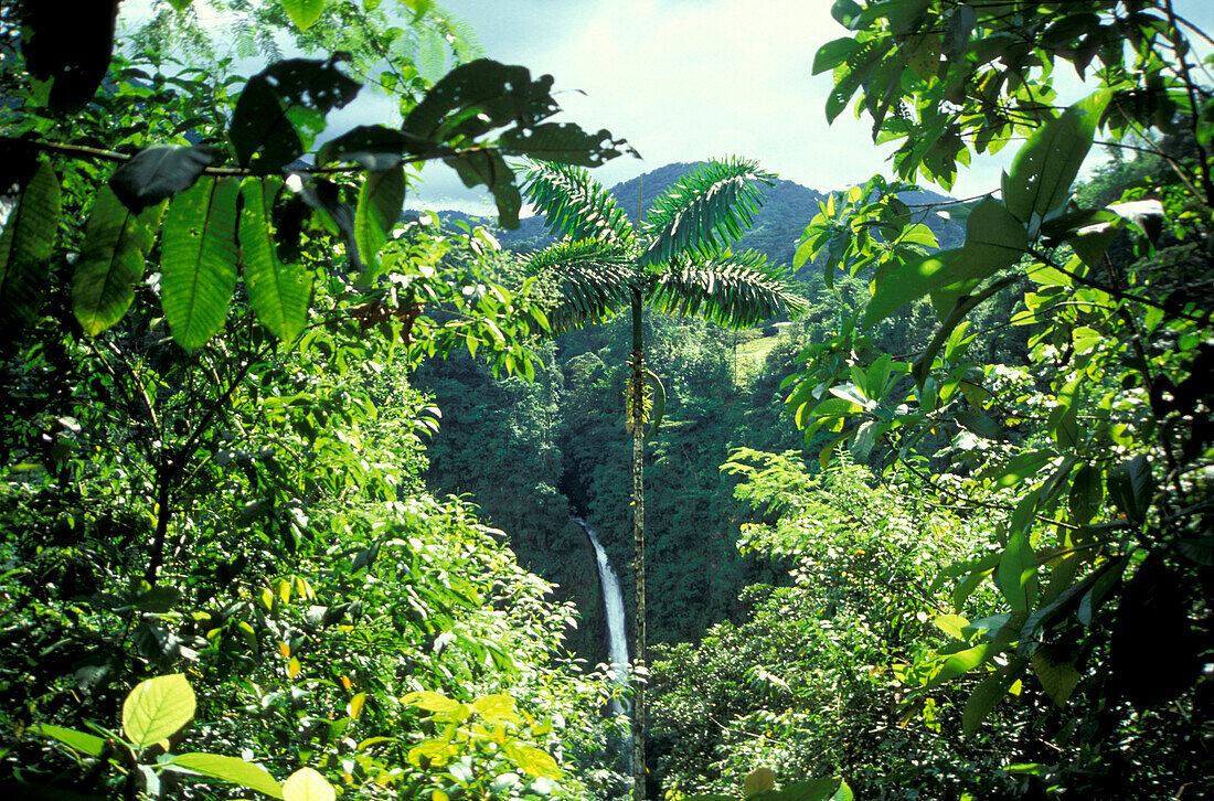 Waterfall near Cascada La Fortuna, Costa Rica, Caribbean, Central America