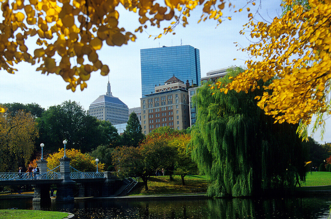 Herbstliche Bäume und Teich in einem Park, Boston, Massachusetts, USA, Amerika