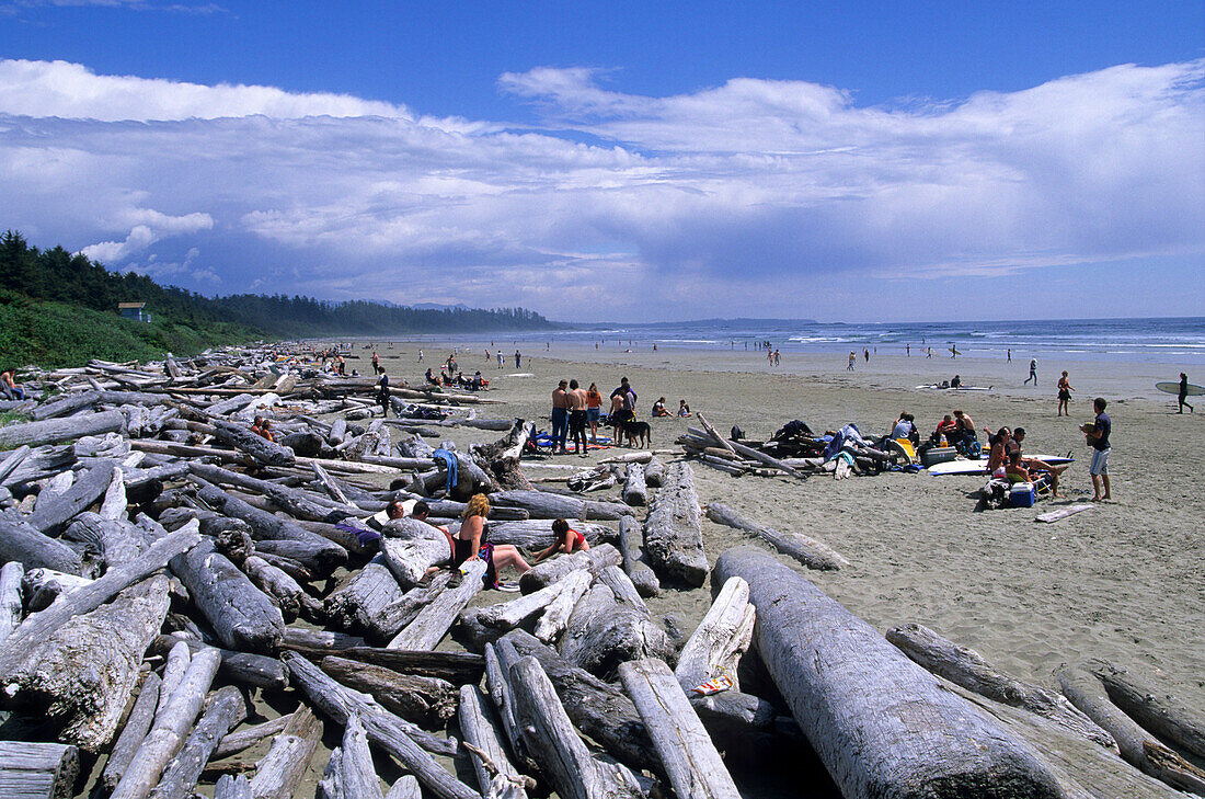Driftwood at Long Beach, Long Beach, Pacific Rim Nationalpark, Vancouver Island, British Columbia, Canada