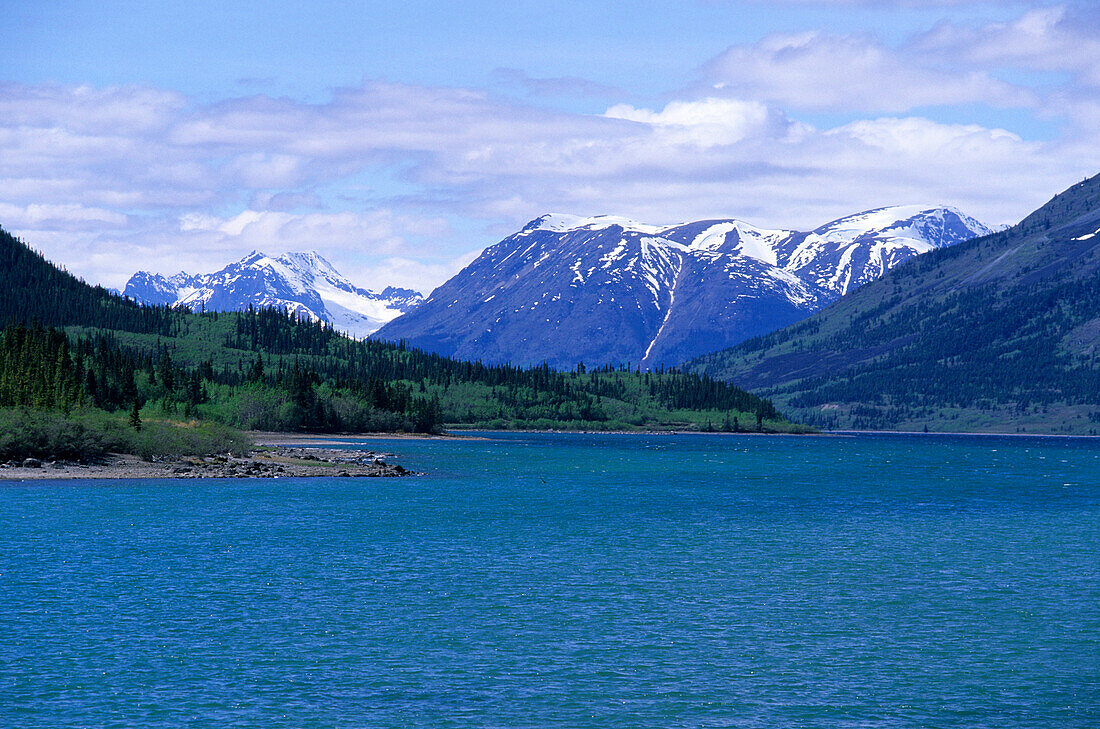 Bennett Lake in front of snow covered mountains, Carcross, Yukon Territory, Canada, America