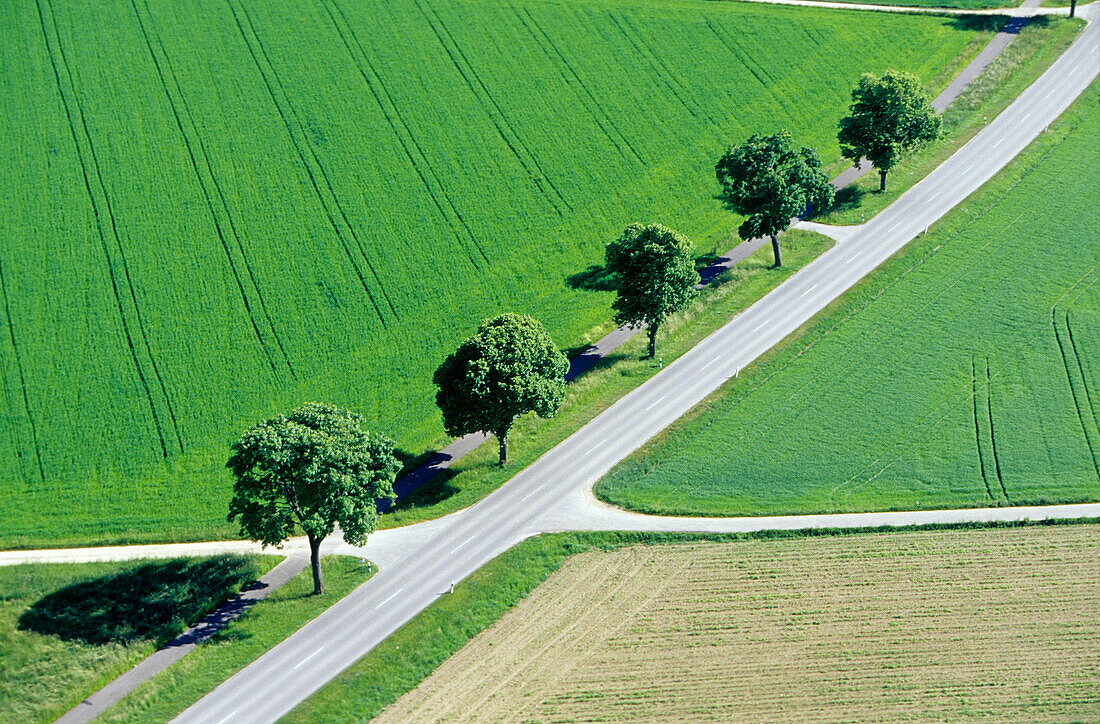 Luftaufnahme einer Landstraße bei München, Bayern, Deutschland