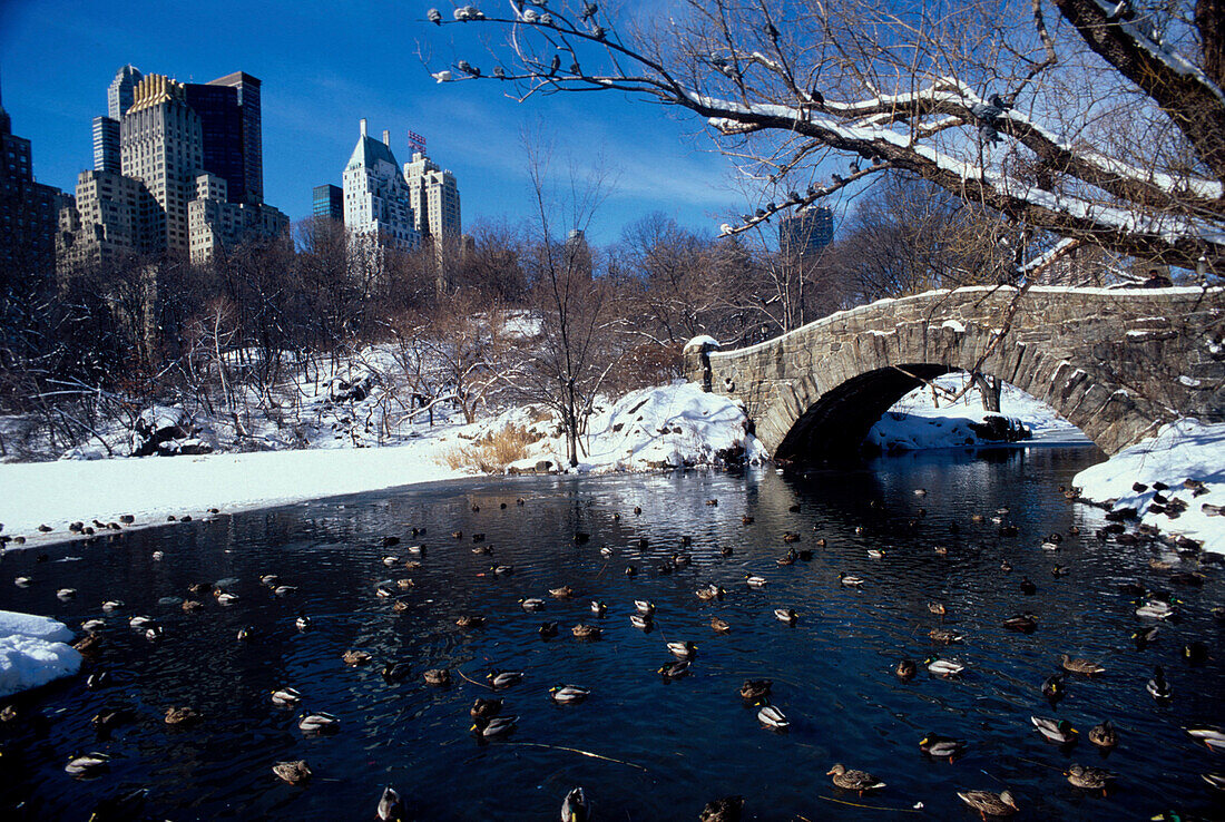 The Ponds, Central Park, Skyline von Central Park South Manhattan, New York, USA